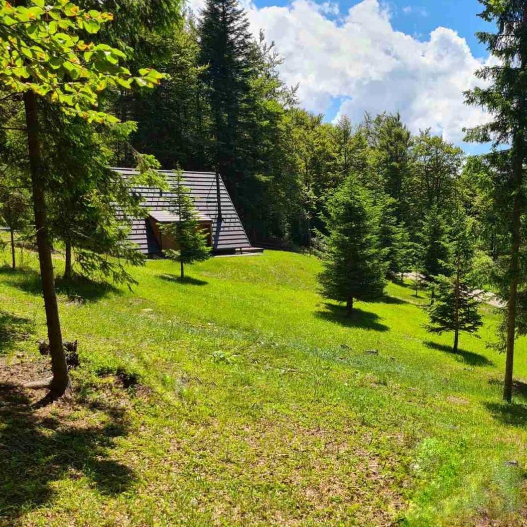 Vrleti Tare Vila Bajina Basta Exterior foto